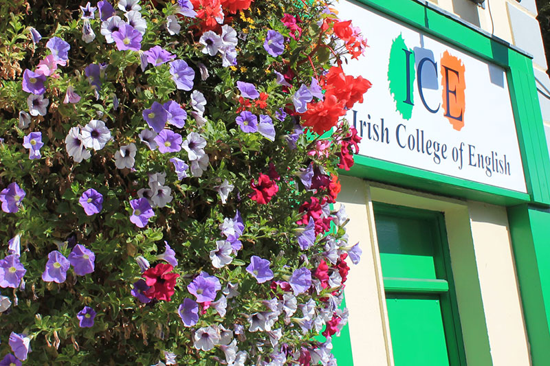 Обучение в языковой школе Irish College of English Dublin, Ирландия