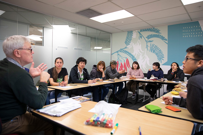 Языковой семестр за рубежом – Language Semester Abroad в школе EC School Auckland