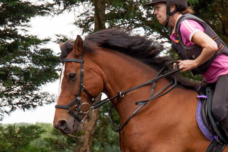 Общий английский + Верховая езда – General English + Horse-Riding в школе ELC Eastbourne